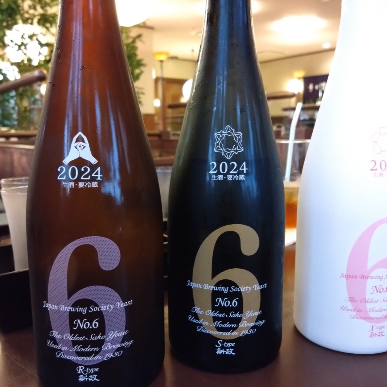 №6を見つけてしまったら呑むしかないよねｗ
どれも激うま
＃新政
＃ナンバー6
＃日本酒
＃きくすい
＃プラザイン水沢