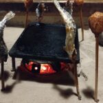 山里のいおり草円