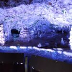 大橋コレクション