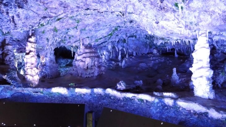 大橋コレクション