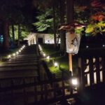 中尊寺のライトアップ