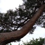 御所人形と前田家の若君展